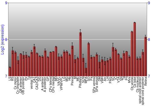 Expression graph