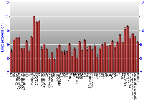 Expression graph