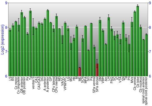 Multi-state expression graph