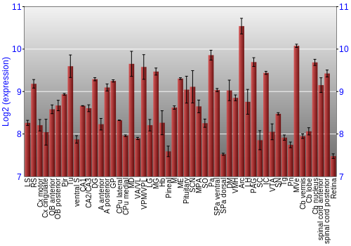 Expression graph