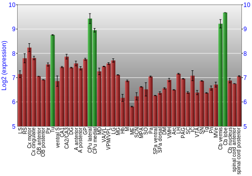 Multi-state expression graph
