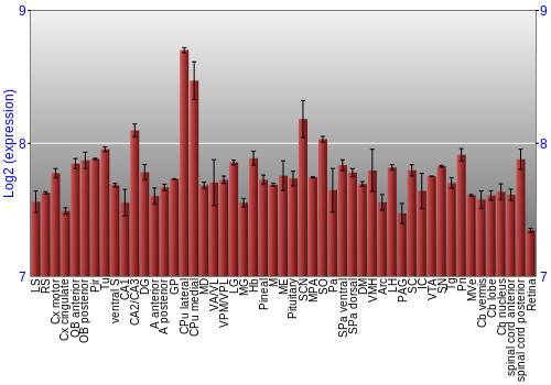 Expression graph