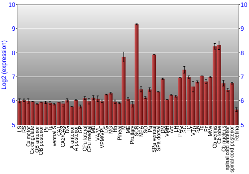 Expression graph
