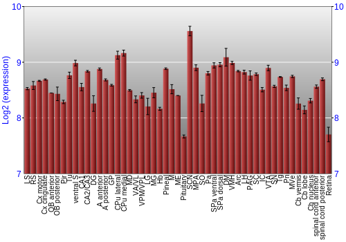 Expression graph