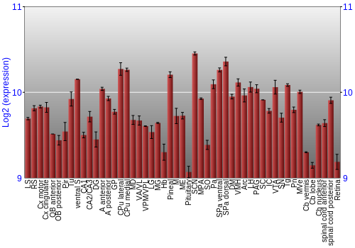 Expression graph