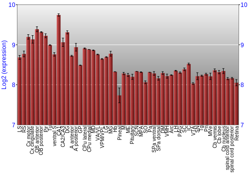 Expression graph