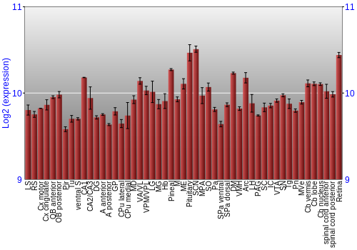 Expression graph