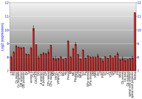 Expression graph