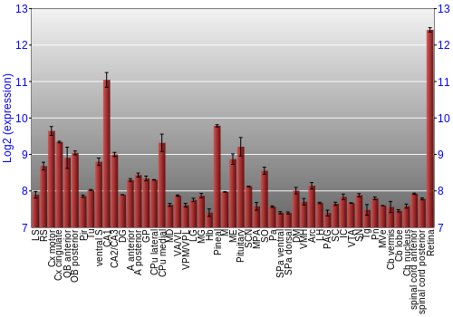 Expression graph