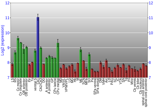 Multi-state expression graph