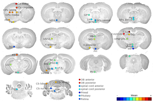 Expression map