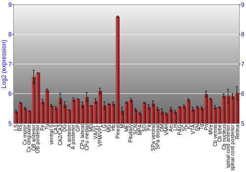 Expression graph