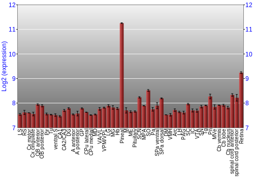 Expression graph