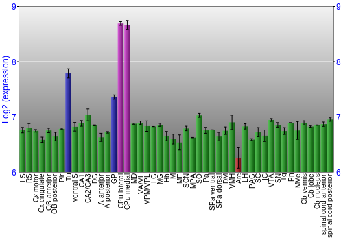 Multi-state expression graph