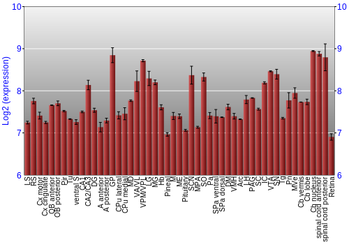Expression graph