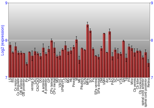 Expression graph