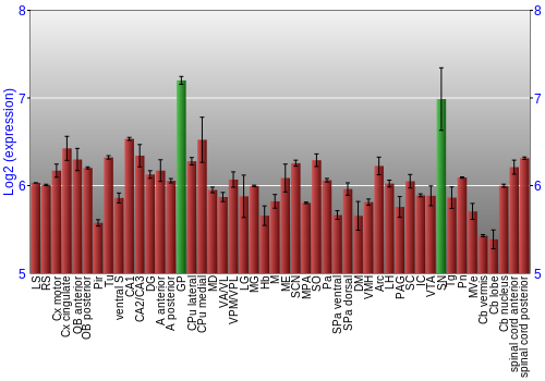 Multi-state expression graph