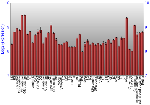 Expression graph