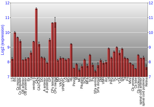 Expression graph