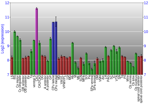 Multi-state expression graph