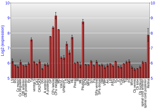 Expression graph