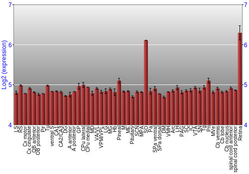 Expression graph