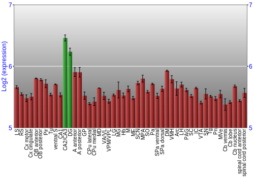 Multi-state expression graph