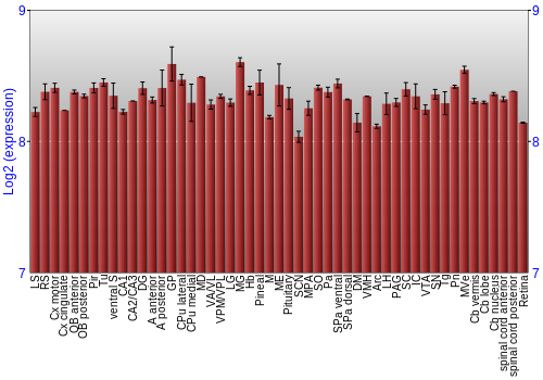 Expression graph