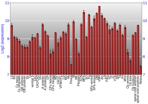 Expression graph