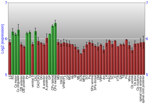 Multi-state expression graph
