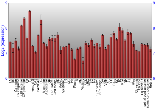 Expression graph