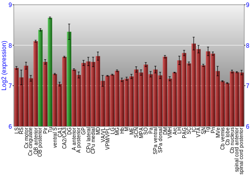 Multi-state expression graph