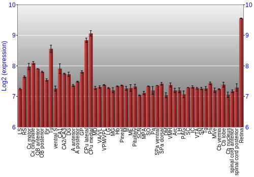 Expression graph