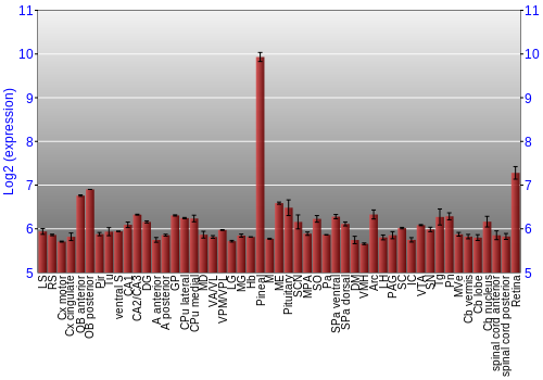 Expression graph