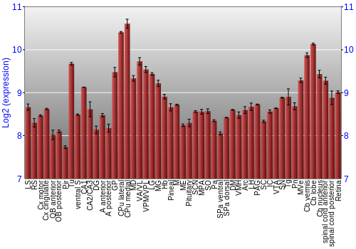 Expression graph