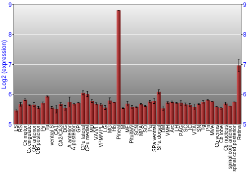 Expression graph