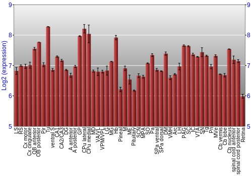 Expression graph