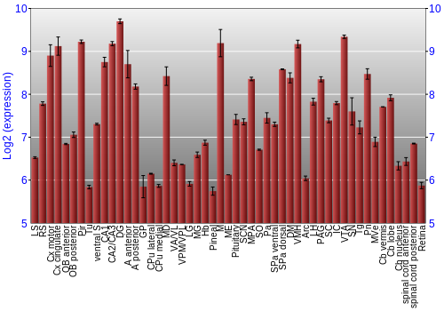Expression graph