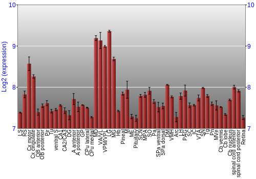 Expression graph