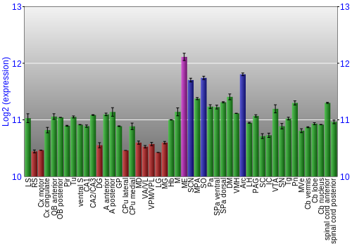 Multi-state expression graph