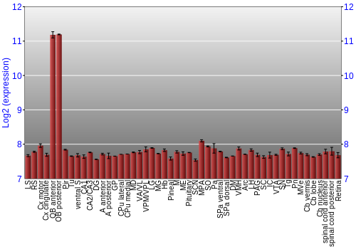 Expression graph