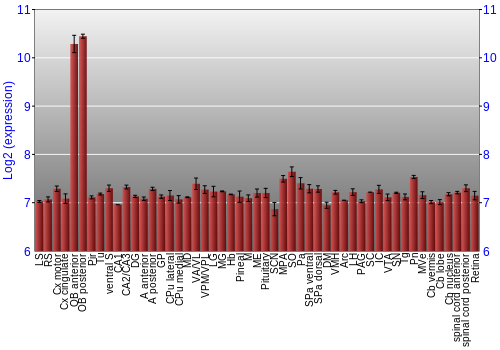Expression graph