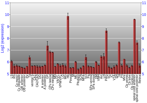 Expression graph