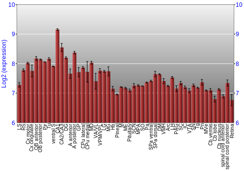 Expression graph