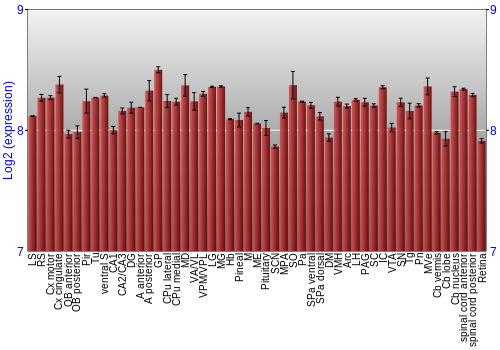 Expression graph