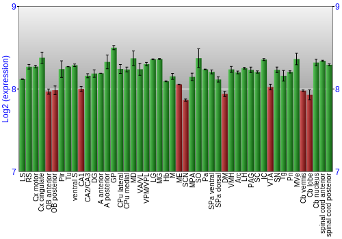 Multi-state expression graph
