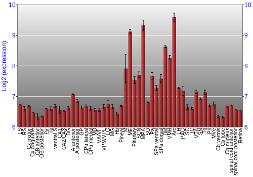 Expression graph