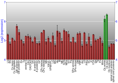 Multi-state expression graph