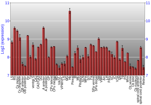 Expression graph
