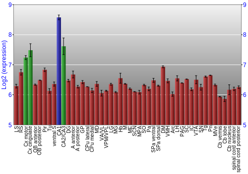 Multi-state expression graph